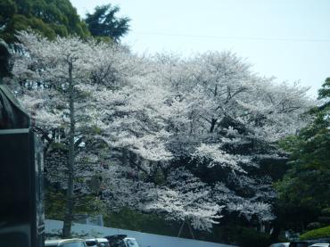 2010_04040038